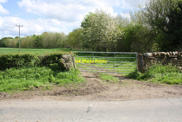 Photo 6"x4" Gateway to field opposite Bellerby Bottom Garriston c2016