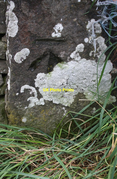 Photo 6"x4" Benchmark on gatepost, South Moor Lane Bellerby c2016