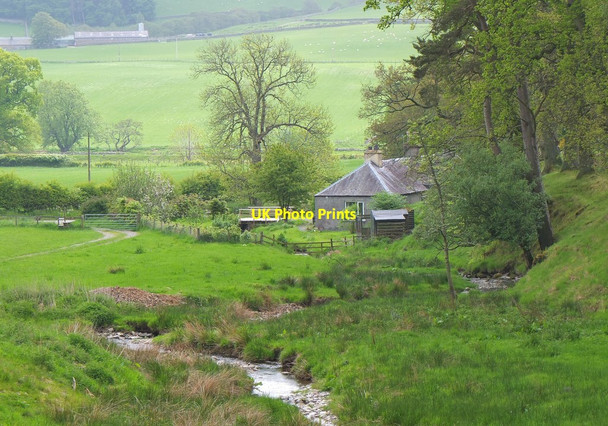 Photo 6"x4" Approaching Stobo Stobo c2016