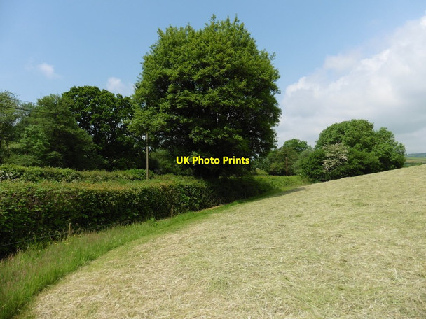 Photo 6"x4" Freshly cut hayfield near Bulcombe Clayhanger\/ST0222 c2016