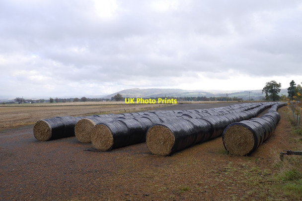 Photo 6"x4" Bale snakes Muirton\/NN9211 c2015