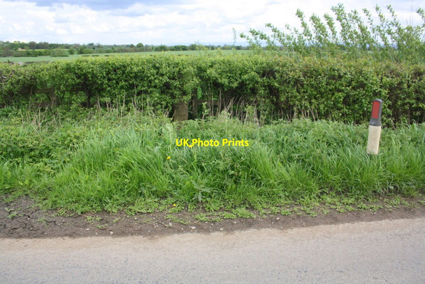 Photo 6"x4" View of roadside hedge south of Cox Pasture Farm East Hauxwell c2016