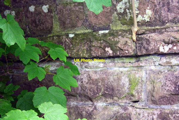 Photo 6"x4" Benchmark on back of bridge parapet at 'The Mill' East Hauxwell c2016