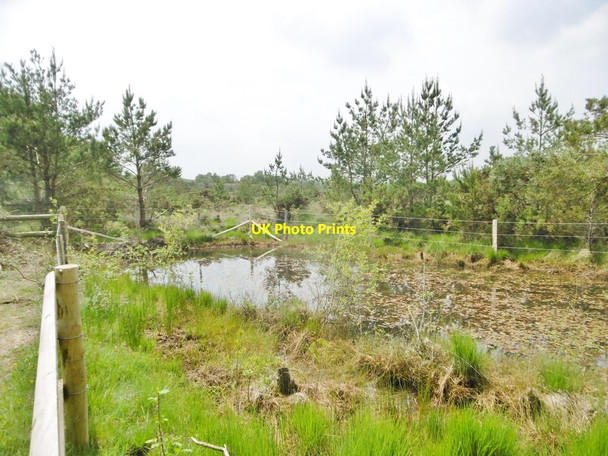 Photo 6"x4" Slepe Heath, pond Ridge\/SY9386 c2016