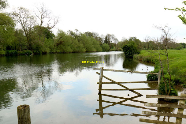 Photo 6"x4" The River Thames by Burcot Burcot\/SU5695 c2016 P1