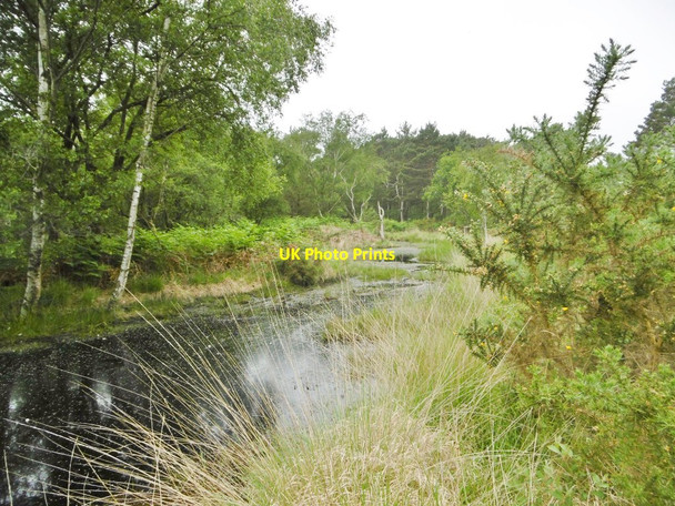 Photo 6"x4" Arne, pond Arne c2016