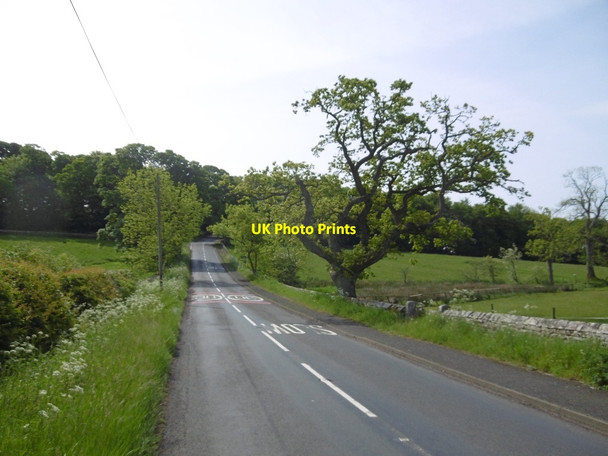 Photo 6"x4" B6342, Cambo Cambo\/NZ0285 c2016