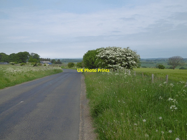 Photo 6"x4" Yellow road, Middleton Bolam West Houses c2016