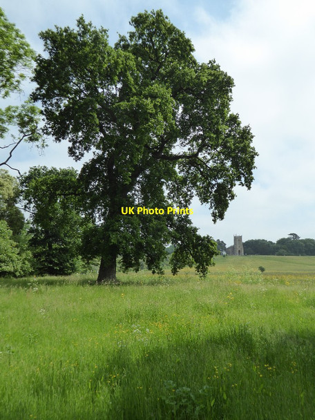 Photo 6"x4" Croome Park High Green\/SO8745 c2016