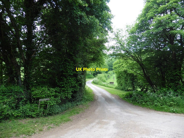 Photo 6"x4" Turning for South Haddon Bury\/SS9427 c2016