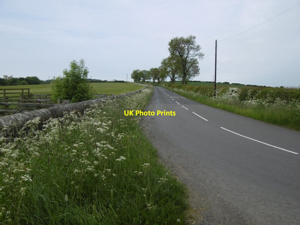 Photo 6"x4" B6309, Belsay Harnham\/NZ0780 c2016
