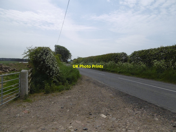 Photo 6"x4" B6309, Black Heddon Black Heddon\/NZ0776 c2016