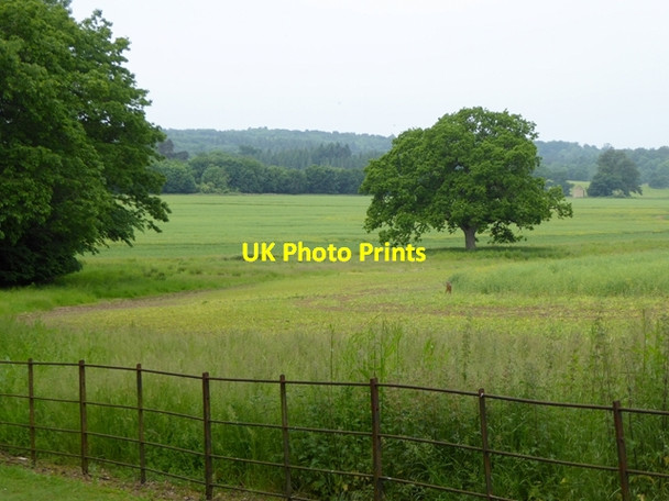 Photo 6"x4" Bowood Park Calne c2016
