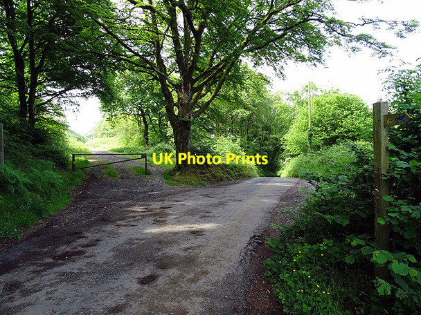 Photo 6"x4" The Wales coastal path from Tre'r-dd\u00c3\u00b4l crosses a minor road to Cefngweiriog  Tre'r-dd\u00f4l\/SN6692 c2016