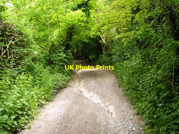 Photo 6"x4" Public byway up North Downs Hollingbourne c2016