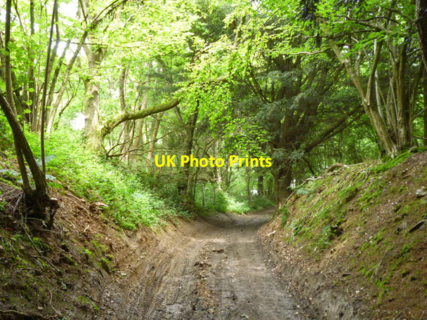 Photo 6"x4" Public byway up North Downs Hollingbourne c2016