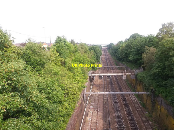 Photo 6"x4" Railway cutting east of Pontefract Lane, Leeds Leeds\/SE3034 c2016