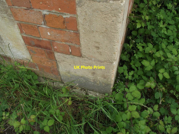 Photo 6"x4" An OS Bench Mark Seaton Junction c2016