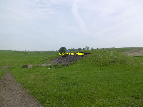 Photo 6"x4" Colliery waste Ryal\/NZ0174 c2016