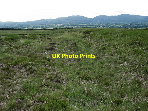 Photo 6"x4" Old Trackway Burncourt c2016