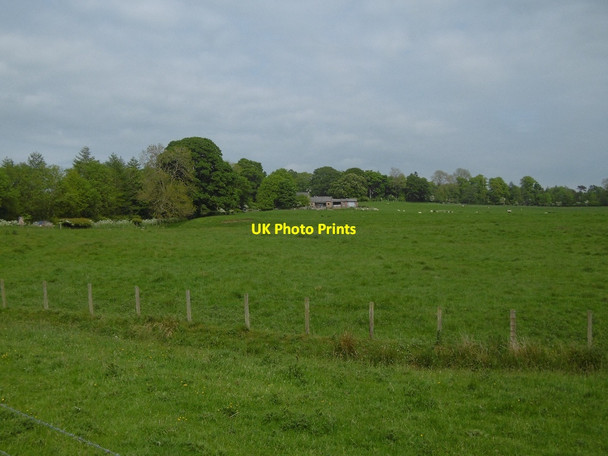 Photo 6"x4" Little Bavington Little Bavington c2016