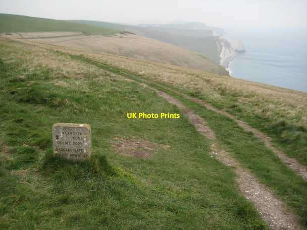 Photo 6"x4" Coast path above West Bottom Chaldon Herring or East Chaldon c2012
