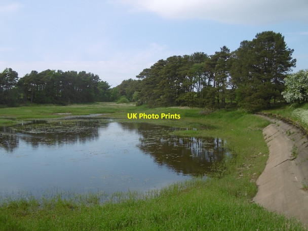 Photo 6"x4" Colt Craig Reservoir Little Swinburne c2016