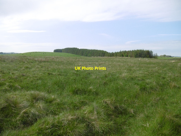 Photo 6"x4" Crookdean Hill Great Bavington c2016