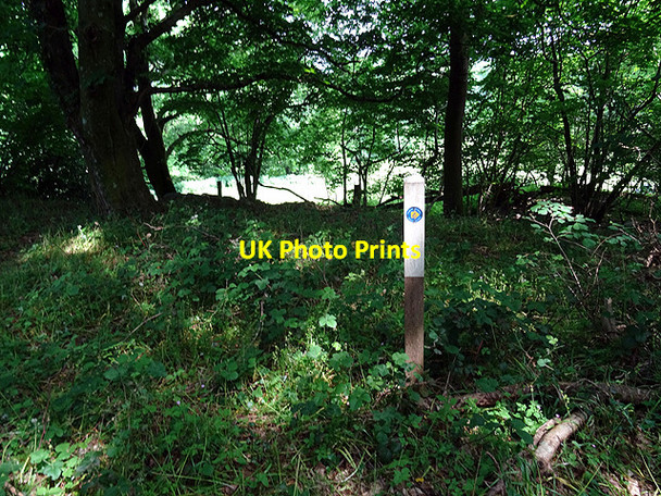 Photo 6"x4" Waymarker on the Wales Coastal Path Coed y Garth c2016
