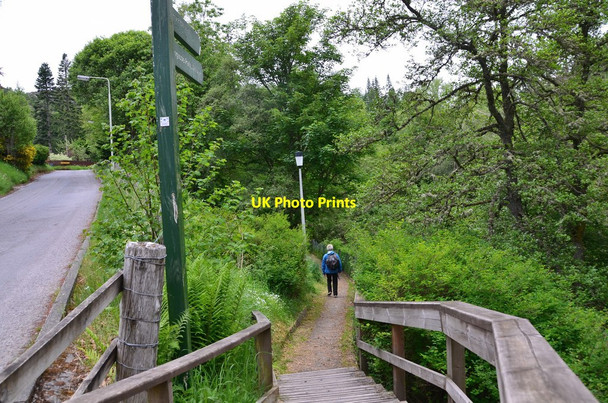Photo 6"x4" Path to the Gynack Burn, Kingussie Kingussie c2016