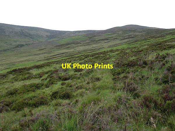 Photo 6"x4" Rough Heath Burncourt c2016