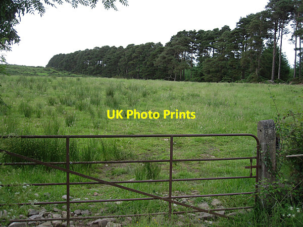 Photo 6"x4" Field Gate Ballylooby c2016