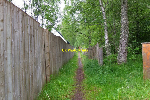 Photo 6"x4" Path behind houses, Loch Insh Kincraig\/NH8305 c2016