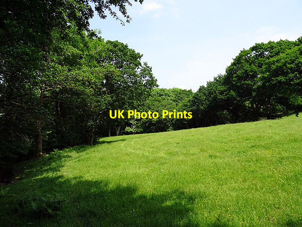 Photo 6"x4" The Wales Coastal path Coed y Garth c2016
