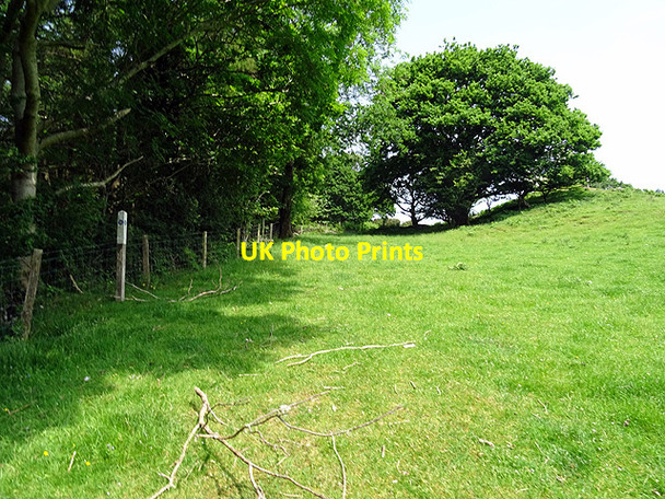 Photo 6"x4" Waymarker on the Wales Coastal Path Coed y Garth c2016