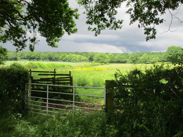 Photo 6"x4" Grassfield and threatening sky Cattle End c2016