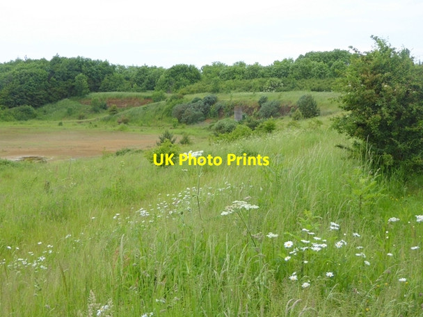Photo 6"x4" Balscote Quarry Nature Reserve Balscote c2016 P1