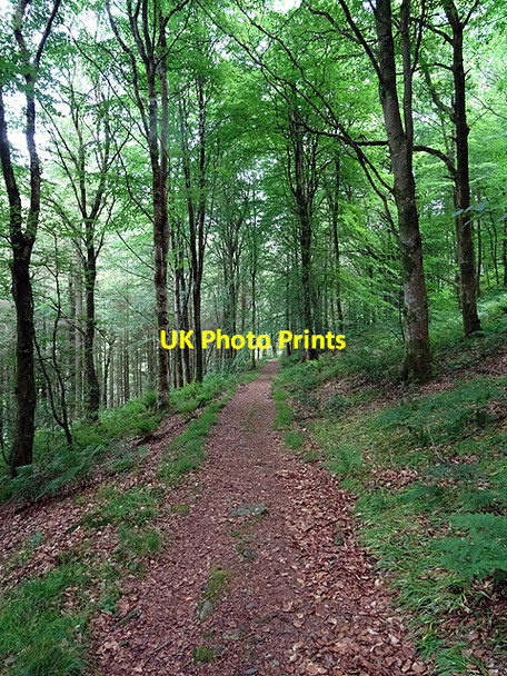 Photo 6"x4" Descending into Cwm Einion Coed y Garth c2016