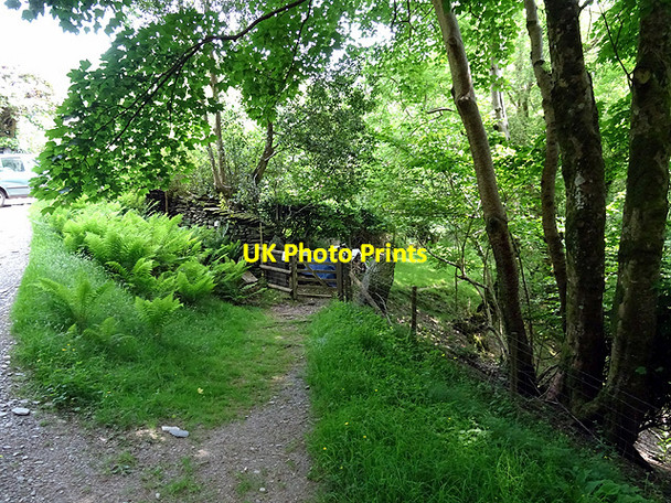 Photo 6"x4" Gate in Cwm Einion Coed y Garth c2016