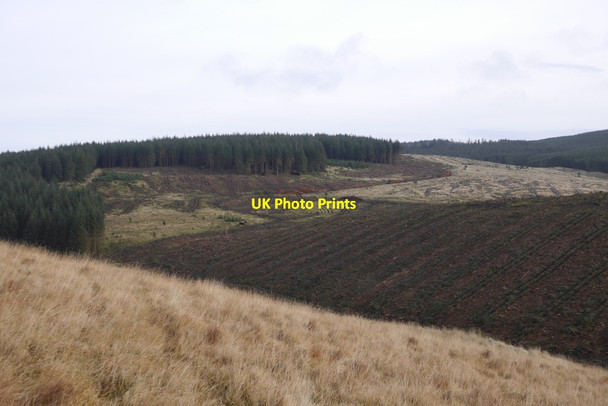 Photo 6"x4" Clear fell, Little Rig Glendevon\/NN9904 c2015