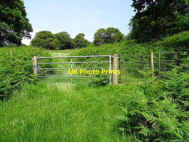 Photo 6"x4" Farm and footpath gates Glandyfi c2016