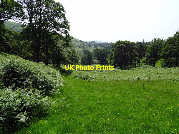Photo 6"x4" Looking back towards Melindwr Glandyfi c2016