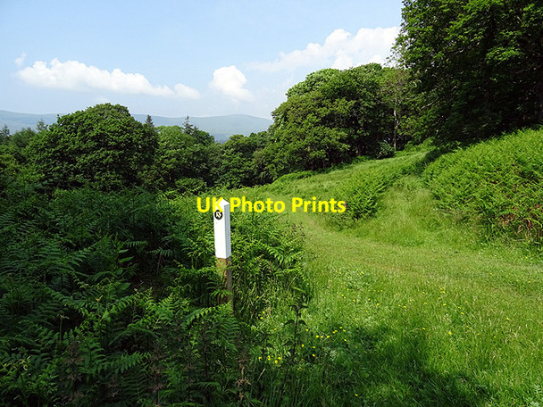 Photo 6"x4" Footpath waymarker Glandyfi c2016