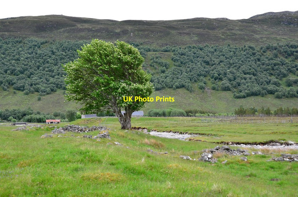 Photo 6"x4" Remains of a township near Glenballoch (2) Newtonmore c2016