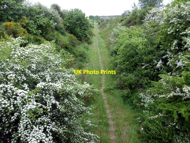 Photo 6"x4" Former colliery railway at Market Warsop Market Warsop c2016
