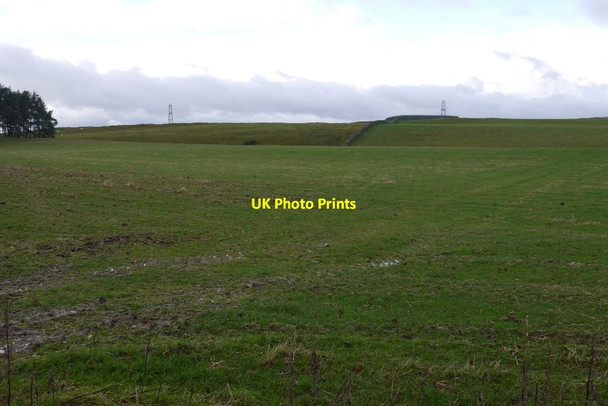 Photo 6"x4" Pasture near Stouslie Hawick c2015