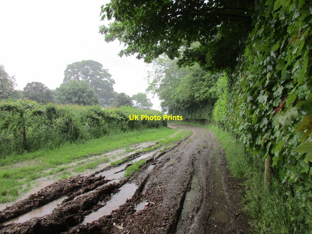 Photo 6"x4" Very muddy track at Helmdon Falcutt c2016