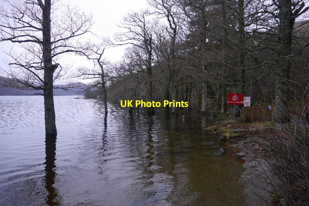 Photo 6"x4" High water, Loch Lomond Rowardennan c2015