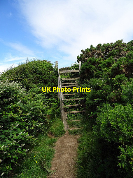 Photo 6"x4" A ladder stile on the Wales Coastal Path Aberaeron c2016