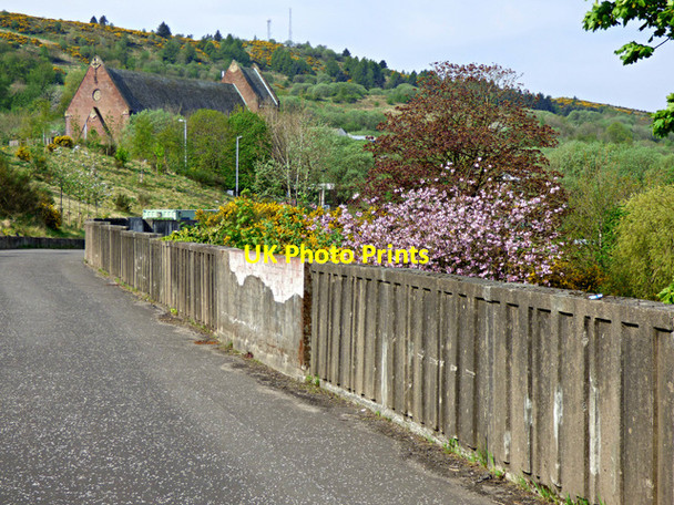 Photo 6"x4" Belville Community Garden Greenock\/NS2776 c2016